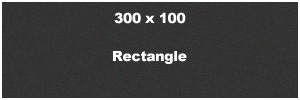 300 x 100 Rectangle Banner Ad