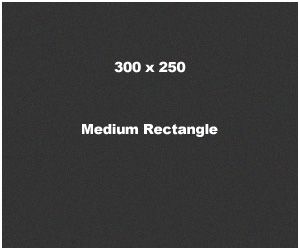 300 x 250 Medium Rectangle Banner Ad