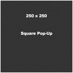 250 x 250 Square Pop-Up Banner Ad
