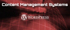 Content Management Systems
