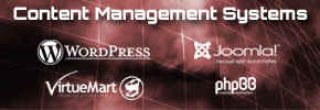 Content Management Systems